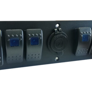 panel6-socket. Panel with switches