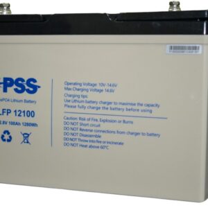 pps 100. 100Ah LiFePo4 Battery